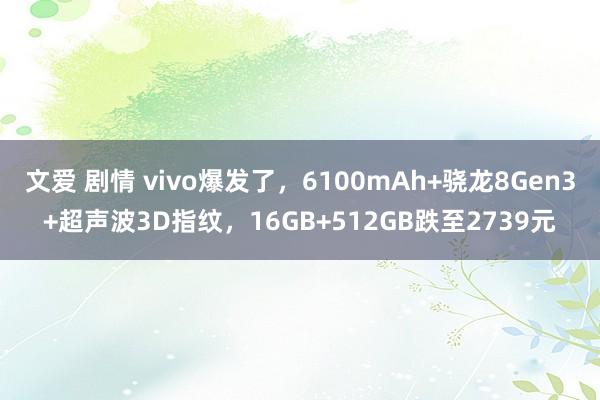 文爱 剧情 vivo爆发了，6100mAh+骁龙8Gen3+超声波3D指纹，16GB+512GB跌至2739元