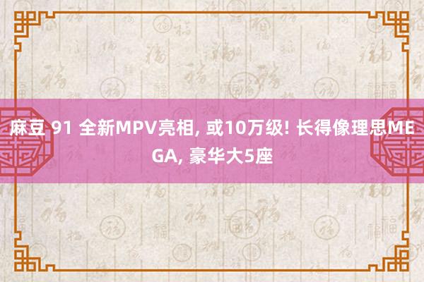 麻豆 91 全新MPV亮相， 或10万级! 长得像理思MEGA， 豪华大5座