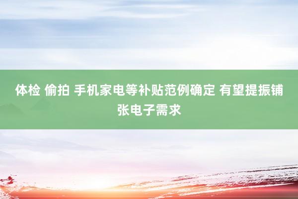 体检 偷拍 手机家电等补贴范例确定 有望提振铺张电子需求