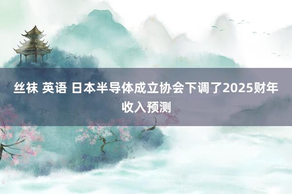 丝袜 英语 日本半导体成立协会下调了2025财年收入预测